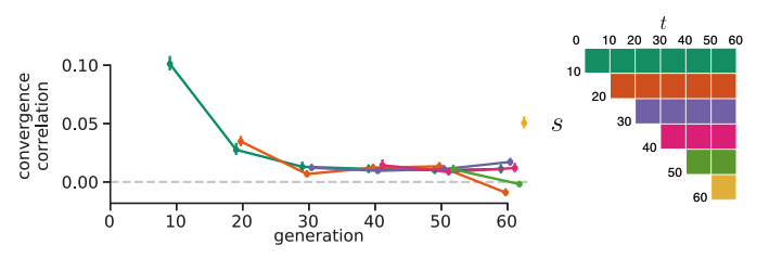 Convergence correlations in Barghi et al. data