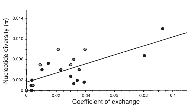 Correlation between diversity and recombination in Drosophila