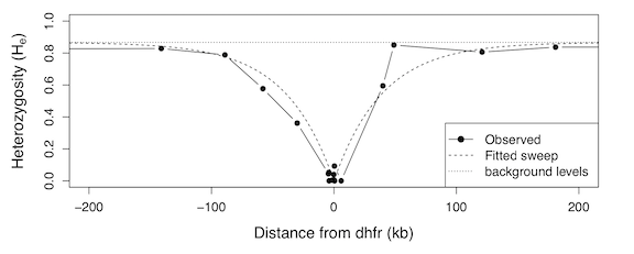 Selective sweep in malaria showing drug resistance