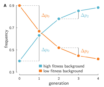 Temporal covariance illustration
